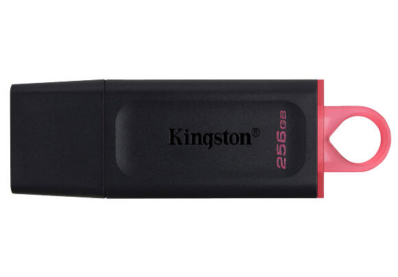 Накопитель USB Kingston Exodia 256GB 3.2 DTX/256GB